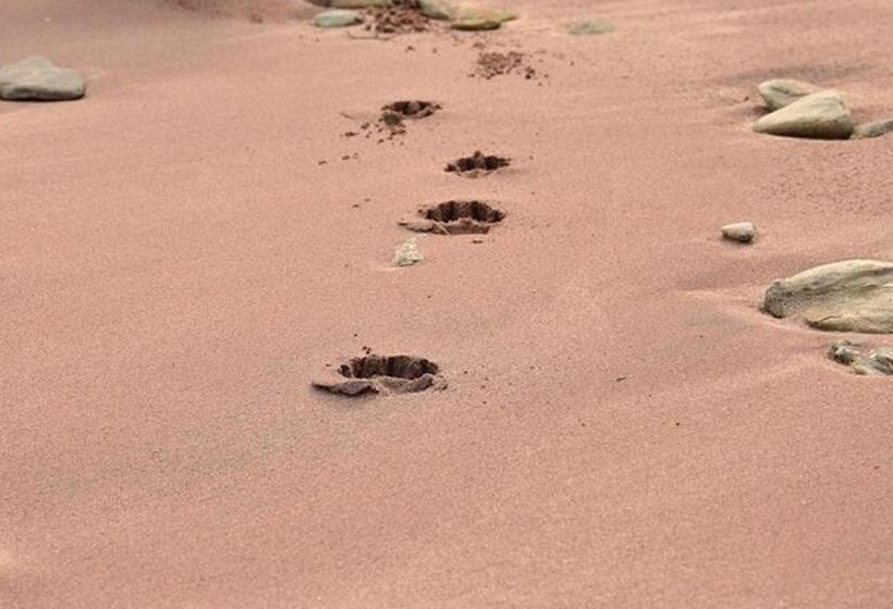 Отель Atlantique