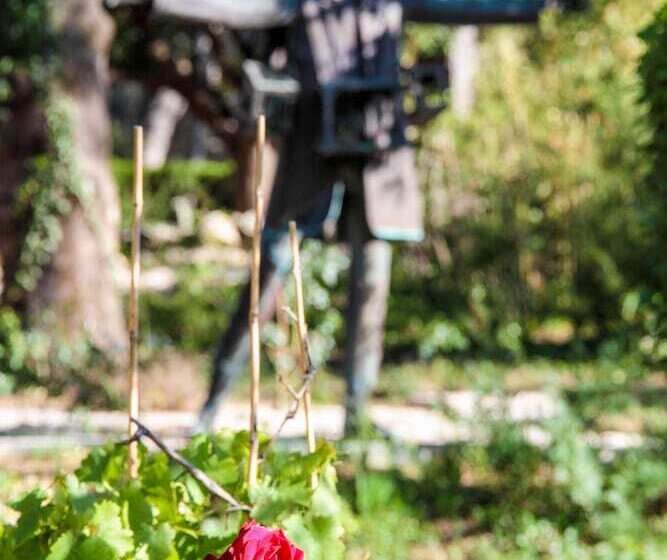 호텔 Auberge De Noves