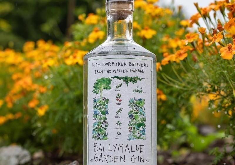 בית מלון כפרי Ballymaloe House