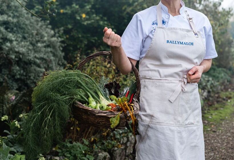 בית מלון כפרי Ballymaloe House