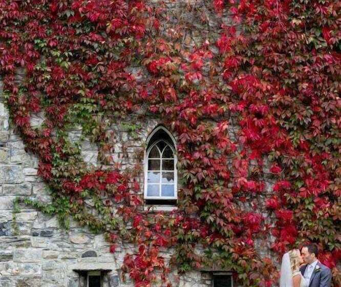 酒店 Barberstown Castle