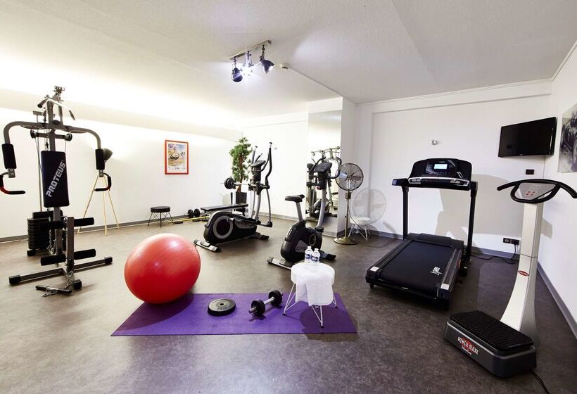 호텔 Best Western Plus Au Cheval Blanc à Mulhouse