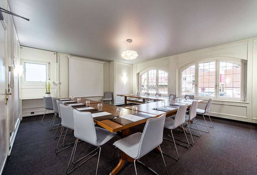 호텔 Best Western Plus Au Cheval Blanc à Mulhouse