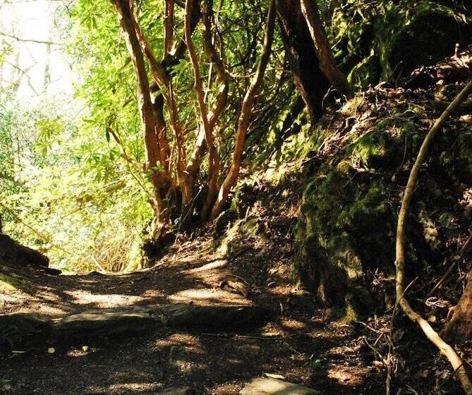 Casey S Hotel Glengarriff