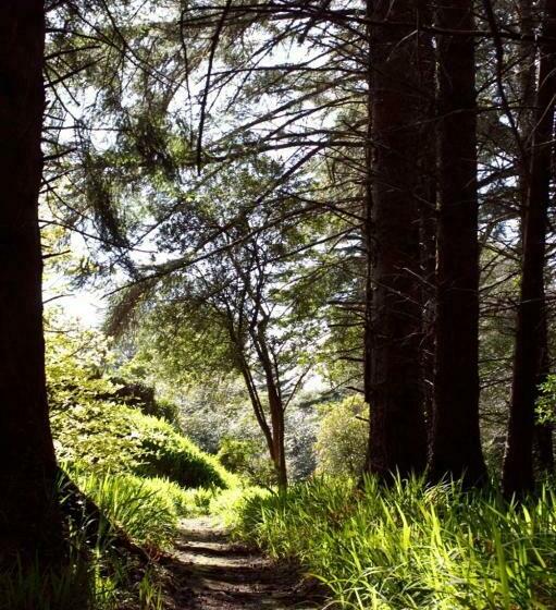 فندق Currarevagh House