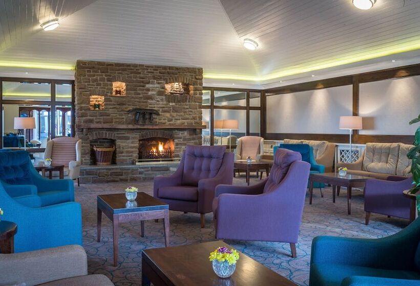 בית מלון כפרי Dingle Skellig