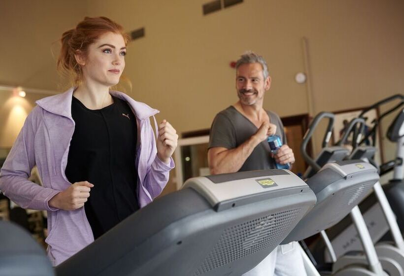 Отель Dromoland Castle