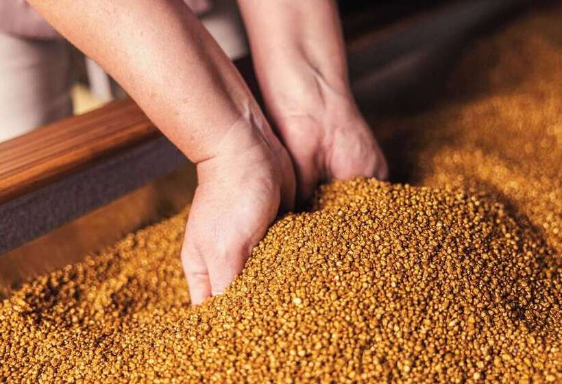 Отель Dromoland Castle