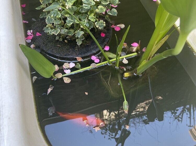 Garden Hotel Rennes Centre Gare