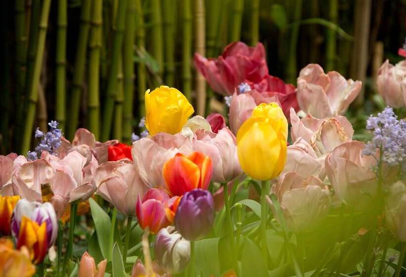 Отель Grand Hôtel De Solesmes   Teritoria