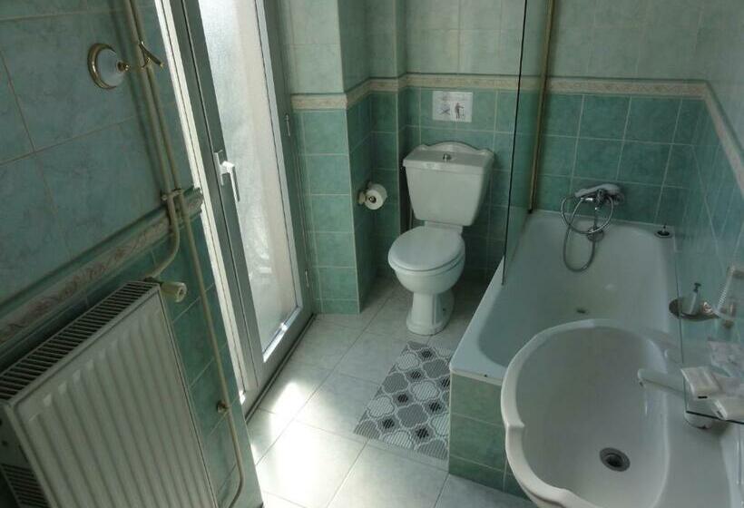 Отель Grand Hôtel Du Midi