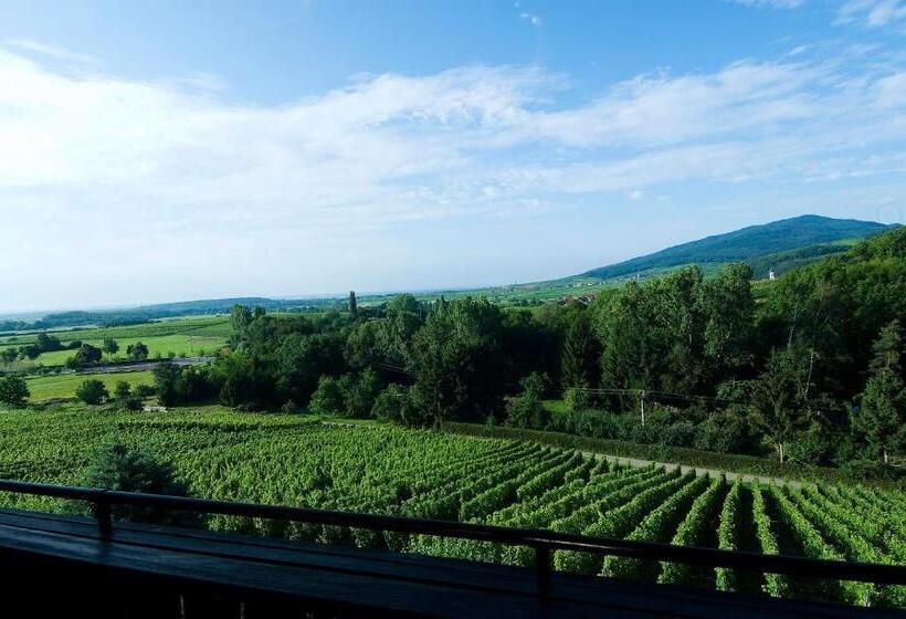 فندق Hôtel Arnold