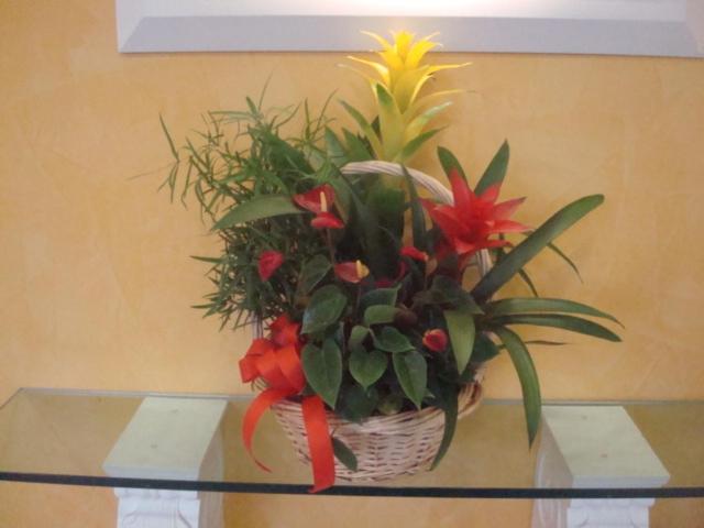 ホテル Hôtel Le Terminus Et Son Restaurant Côte à Côte