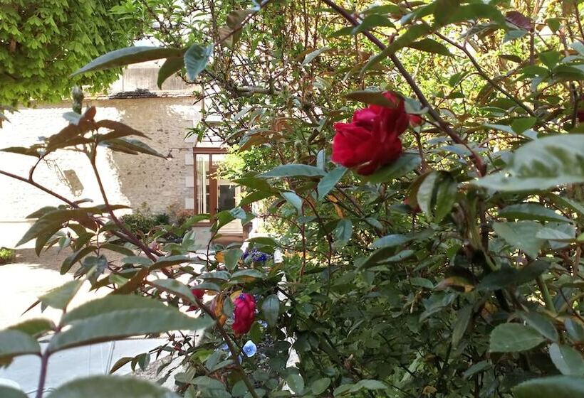 فندق Hôtel Grand Monarque