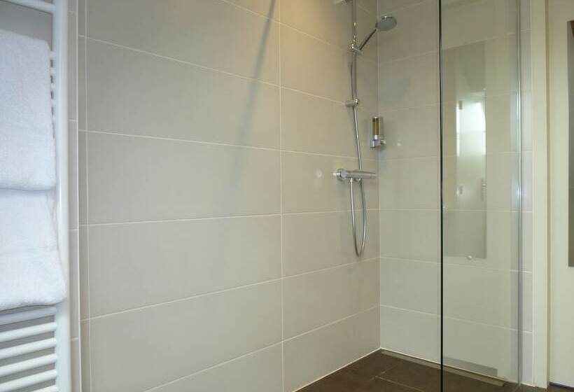 فندق Hôtel Grand Monarque