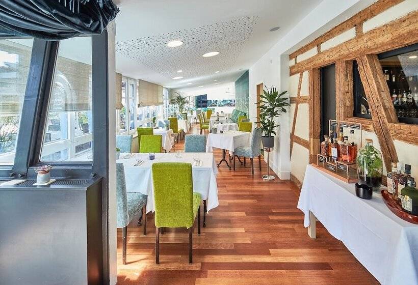Отель Hôtel Restaurant Au Cygne