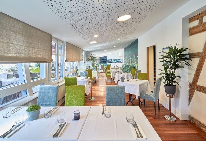 Отель Hôtel Restaurant Au Cygne