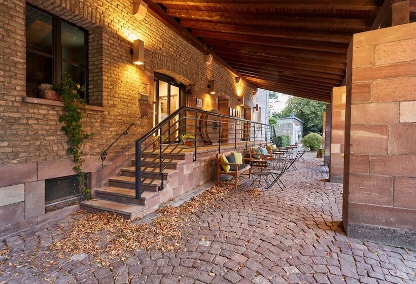 Отель Hôtel Spa Le Moulin De La Wantzenau   Strasbourg Nord