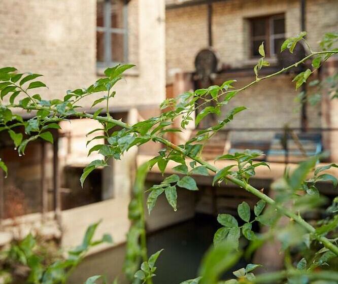 Отель Hôtel Spa Le Moulin De La Wantzenau   Strasbourg Nord