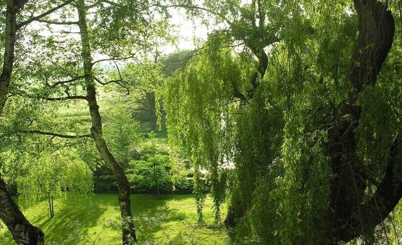 Отель Hôtel Spa Le Moulin De La Wantzenau   Strasbourg Nord