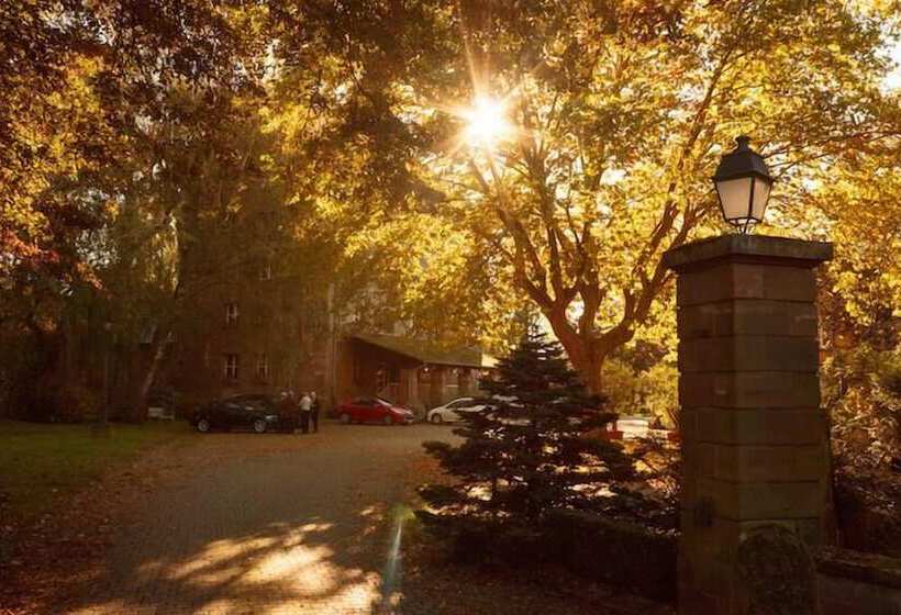 Отель Hôtel Spa Le Moulin De La Wantzenau   Strasbourg Nord