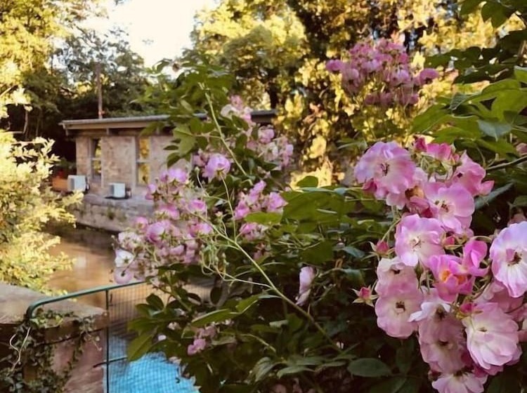 Отель Hôtel Spa Le Moulin De La Wantzenau   Strasbourg Nord