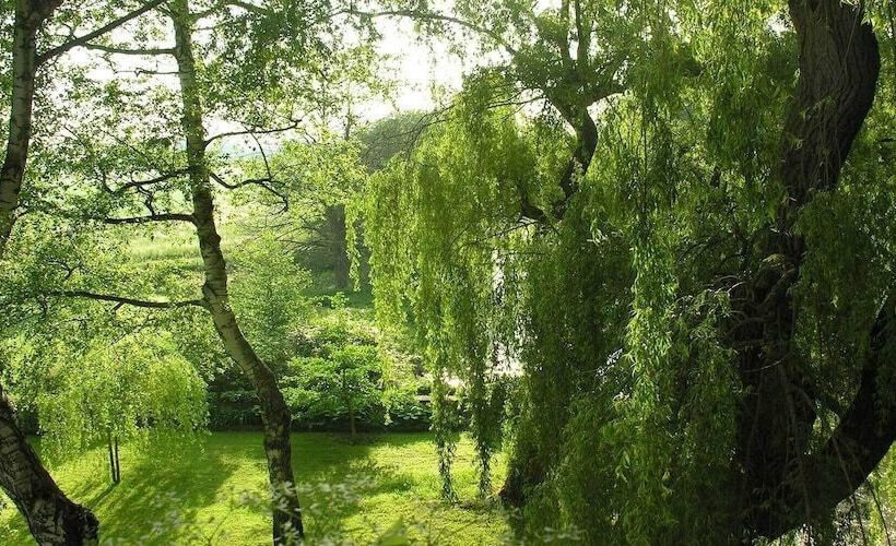 Отель Hôtel Spa Le Moulin De La Wantzenau   Strasbourg Nord