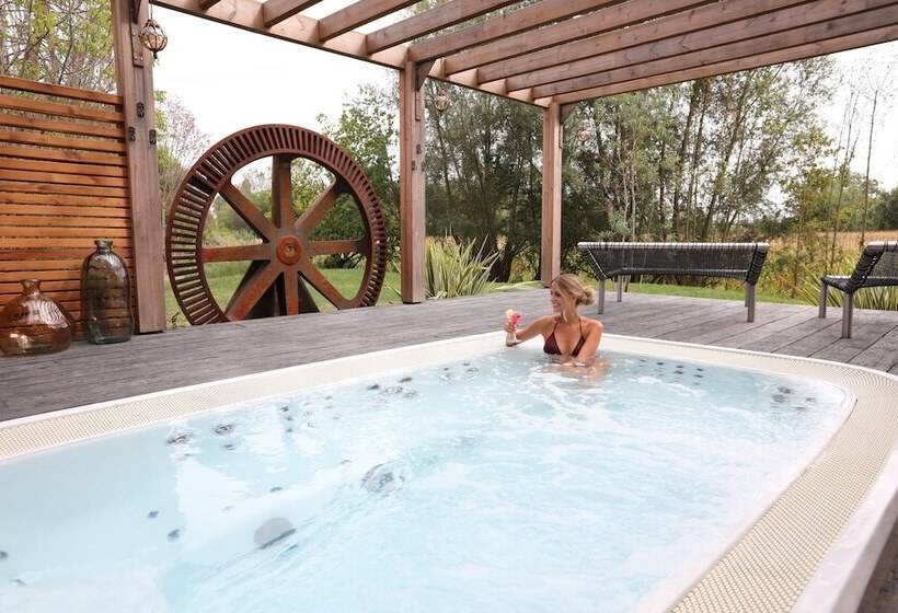 Отель Hôtel Spa Le Moulin De La Wantzenau   Strasbourg Nord