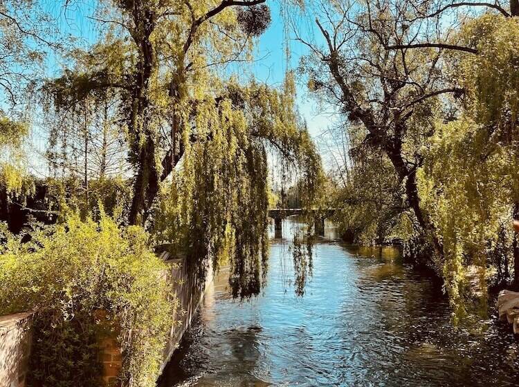 Отель Hôtel Spa Le Moulin De La Wantzenau   Strasbourg Nord