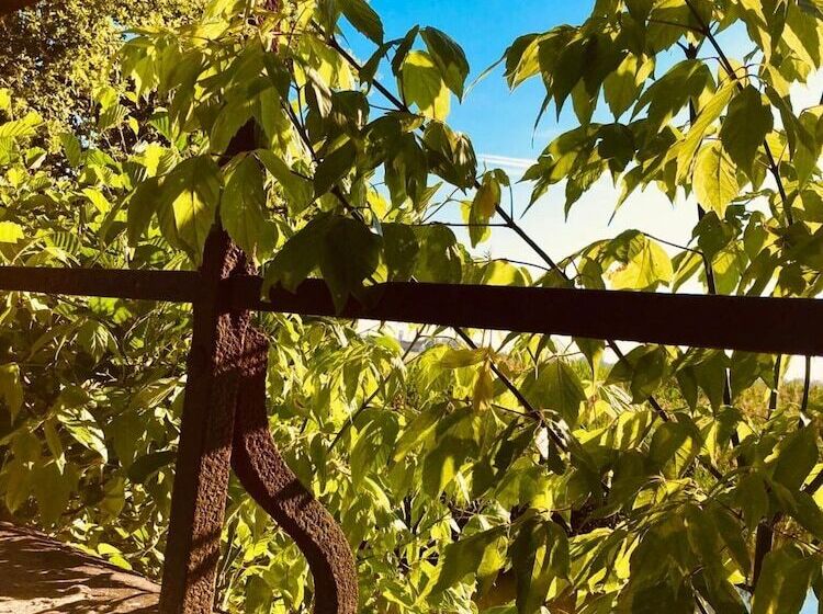 Отель Hôtel Spa Le Moulin De La Wantzenau   Strasbourg Nord