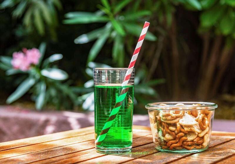 هتل Ibis Avignon Centre Pont De L'europe