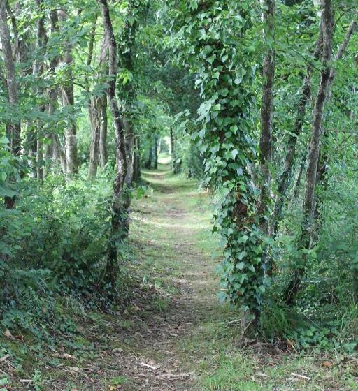 فندق Innishannon House