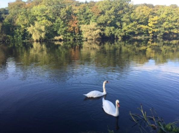 فندق Innishannon House