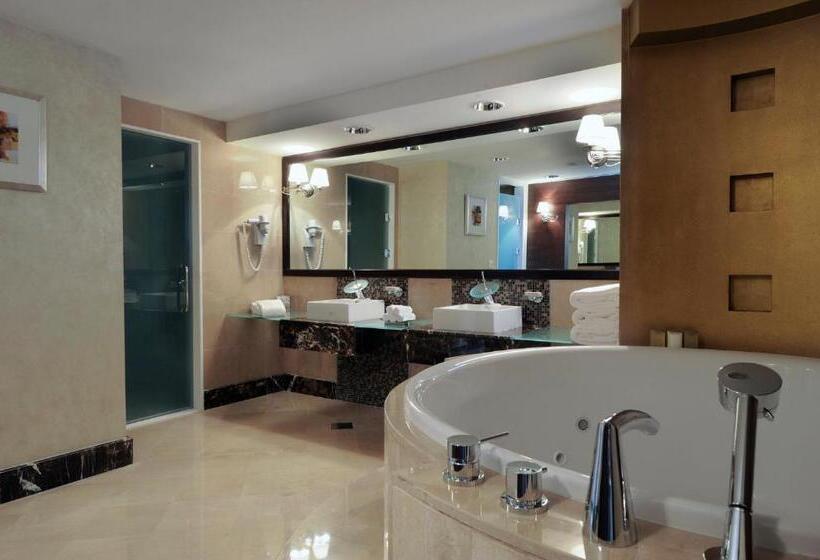 ホテル Intercontinental Abu Dhabi, An Ihg