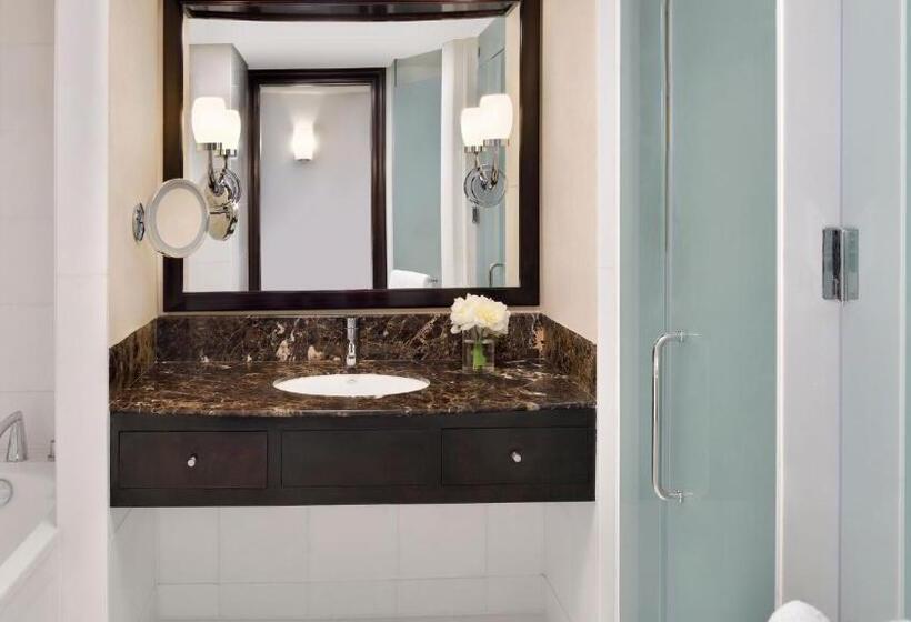 ホテル Intercontinental Abu Dhabi, An Ihg