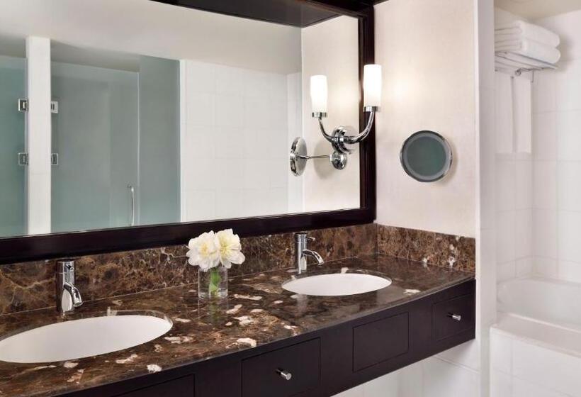 ホテル Intercontinental Abu Dhabi, An Ihg