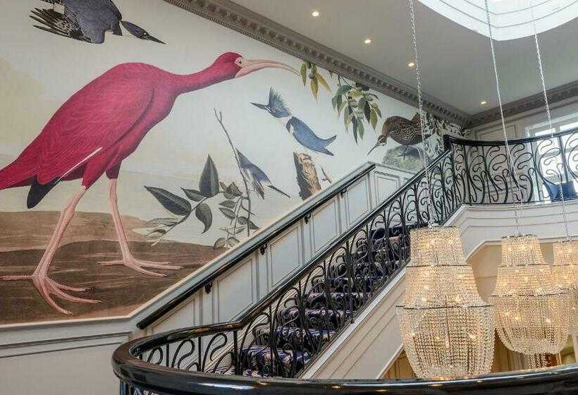 בית מלון כפרי Killarney Dromhall