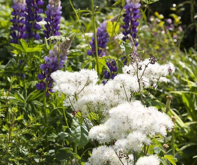 Отель Marlfield House