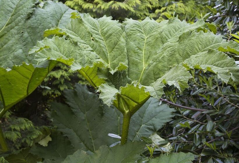 Отель Marlfield House