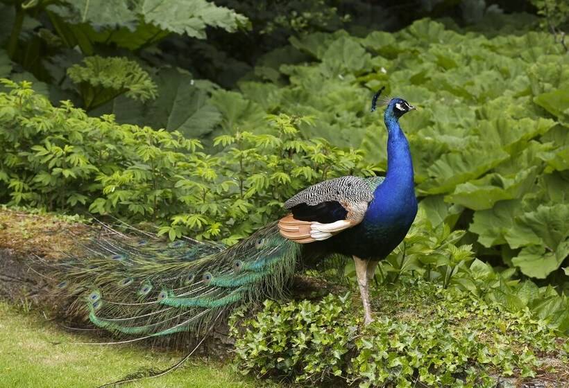 Отель Marlfield House