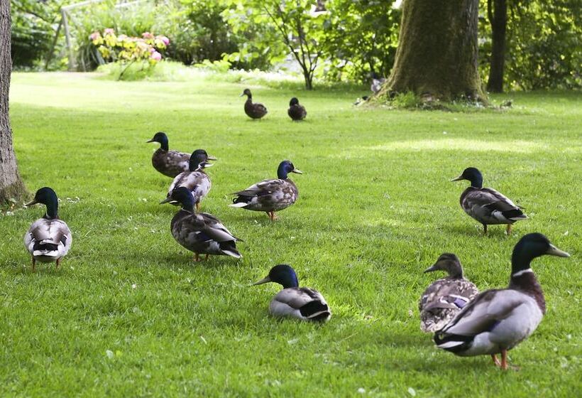 Отель Marlfield House