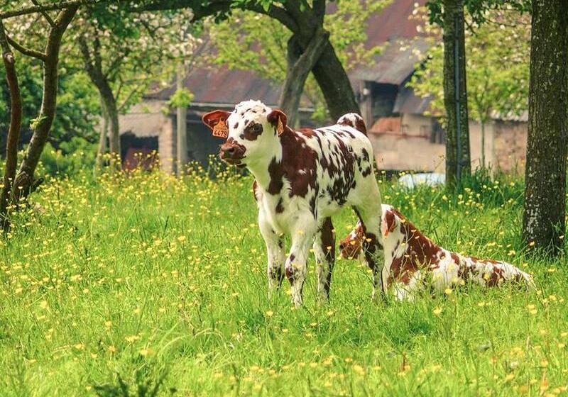 ホテル Mercure Bayeux Omaha Beach