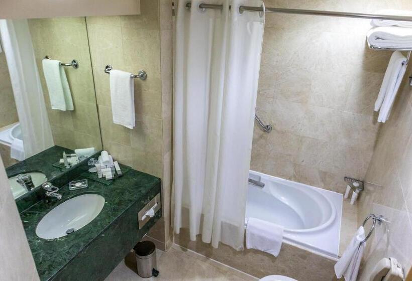 ホテル Millennium Downtown Abu Dhabi