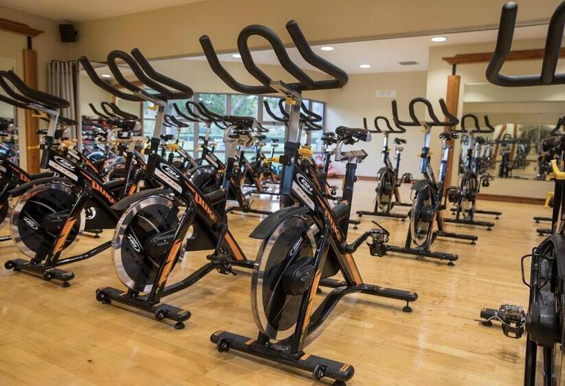 酒店 Minella & Leisure Centre