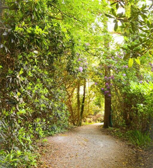 فندق Parknasilla Resort & Spa