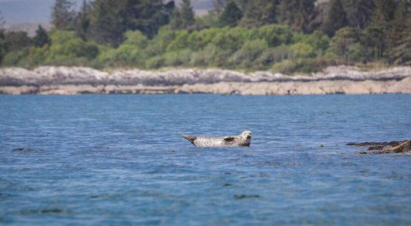 فندق Parknasilla Resort & Spa