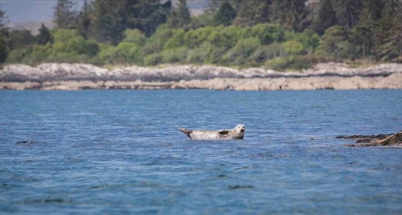 فندق Parknasilla Resort & Spa