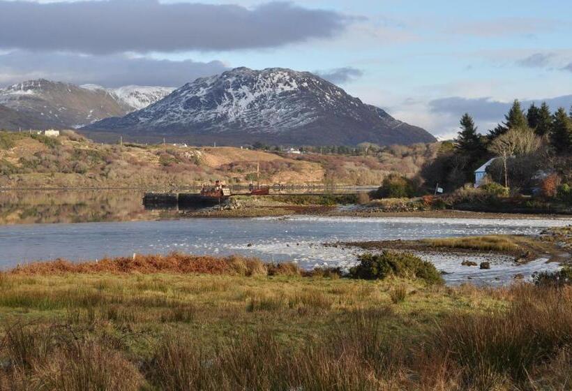 酒店 Rosleague Manor