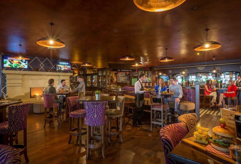 בית מלון כפרי The Inn At Dromoland