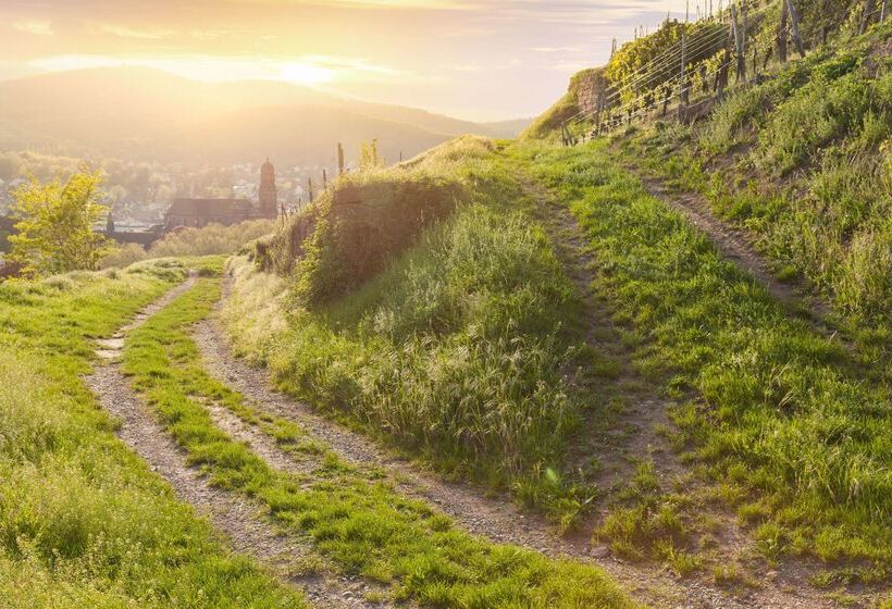 The Originals City Hotel De L Ange Guebwiller